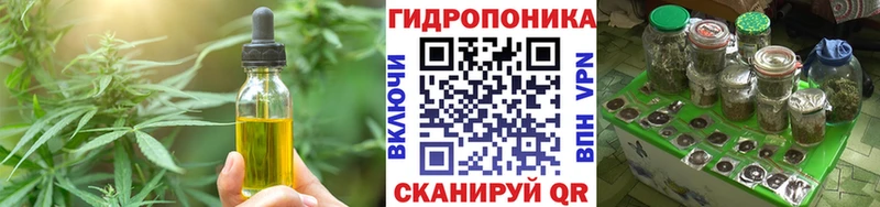 Cannafood конопля  гидра tor  Азнакаево 