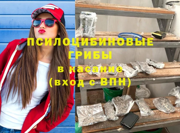 круглые Абаза