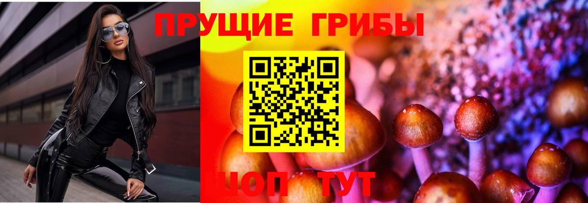 Азнакаево  Галлюциногенные грибы мухоморы  Вход с VPN 